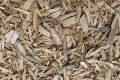 biomass boilers Osleston